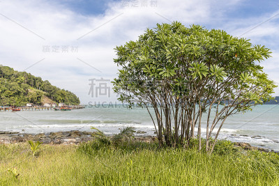 科荣萨姆洛姆 - 维基百科