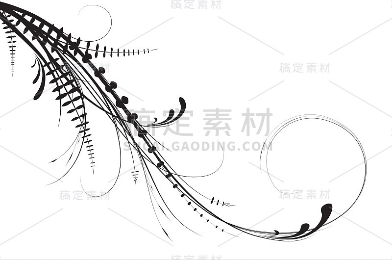 漩涡状叶子的插图。