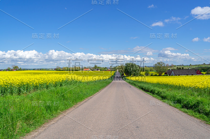 在瑞典南部一个阳光明媚的日子里，穿过乐土