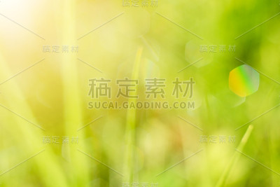 自然散景