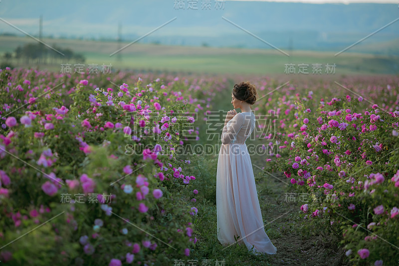 一个女人穿着优雅的结婚礼服，在一个户外的野地附近的野玫瑰花丛