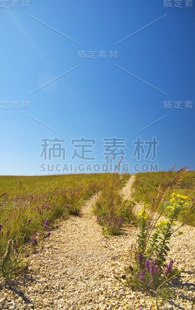 野花路径