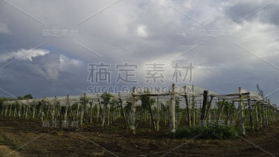 农业结构. .
