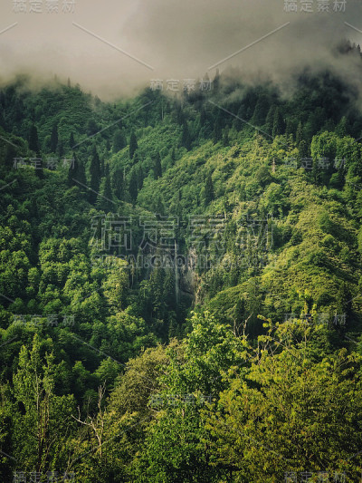 雾蒙蒙的青山