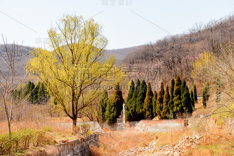 在真正的少林寺(少林寺)自然，一个禅宗佛教寺庙。联合国教科文组织世界遗产