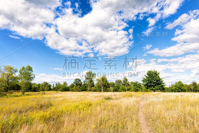 草地上的镓