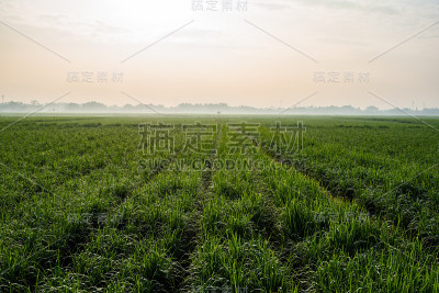 农业