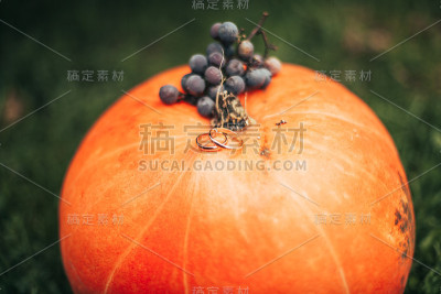 奢华的结婚戒指，旁边有时尚的装饰