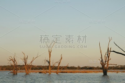 墨累河