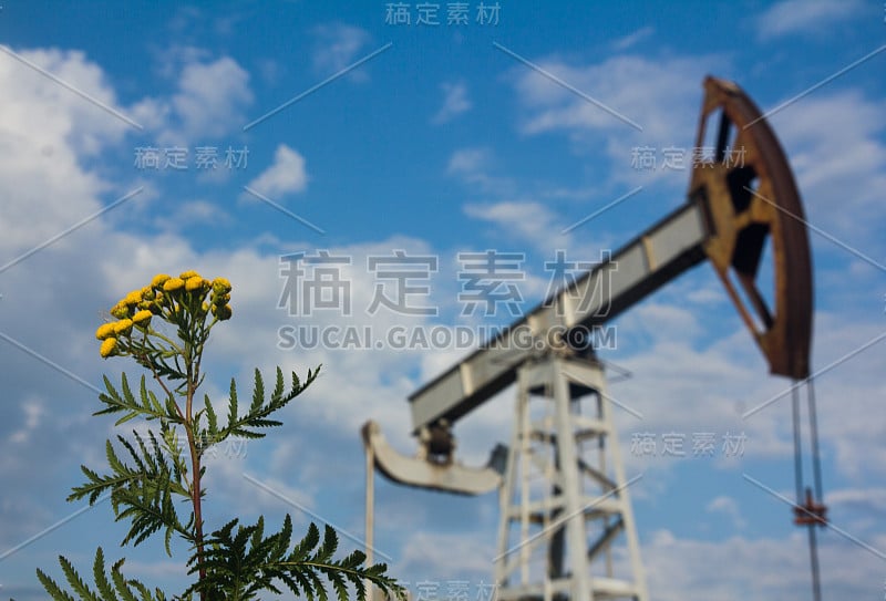 花与油泵在背景