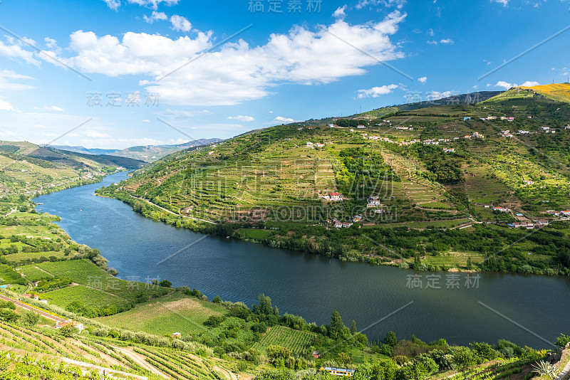 葡萄园和风景的杜罗河地区在葡萄牙