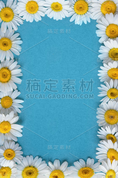 蓝色桌子背景上的花园花。背景与复制空间