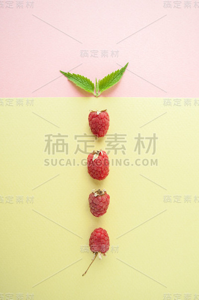 成熟的覆盆子和新鲜的薄荷配上柔和的黄绿色背景。
