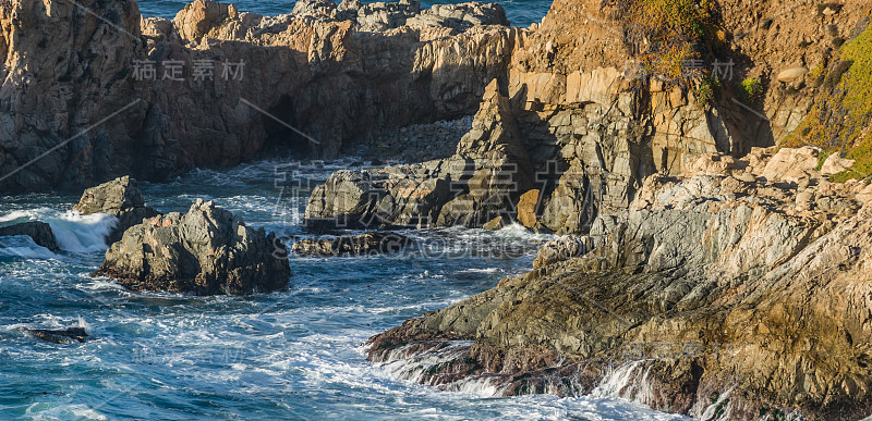 Diverse Beauty Graces the California Coast