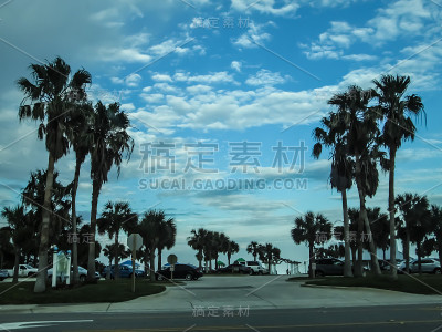 戴托纳的棕榈树