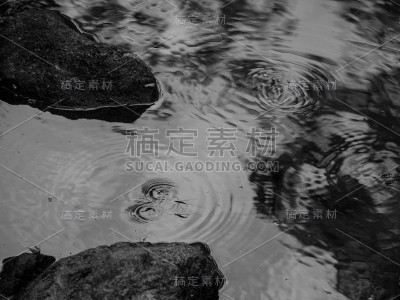 乌龟和水瓶座的白暨豚