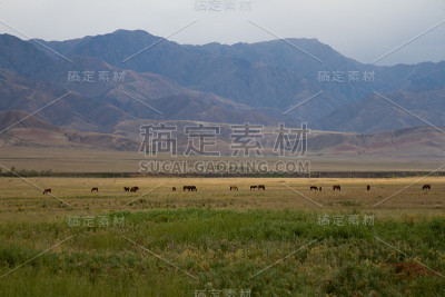 山景观