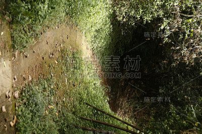通向远方的小路