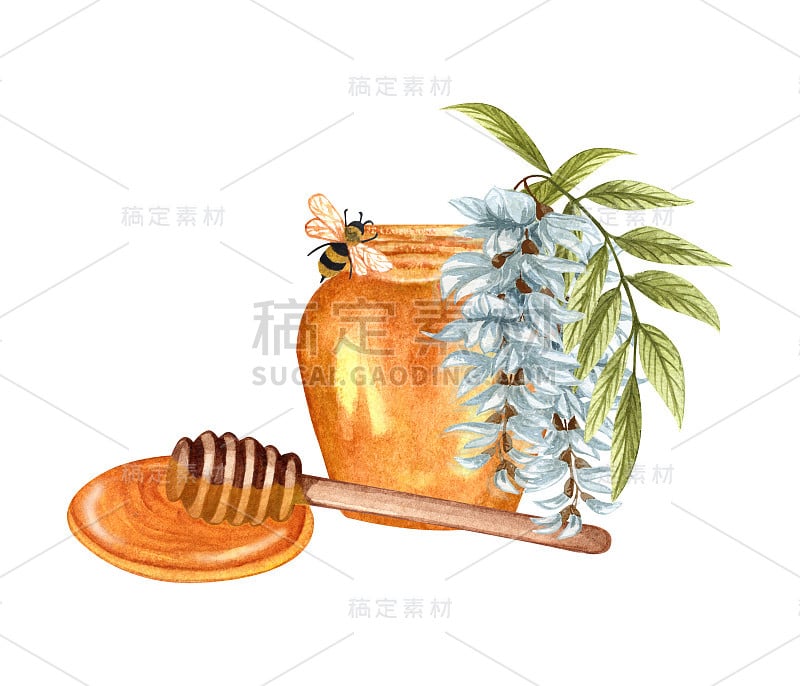 水彩画的金合欢蜂蜜在白色的背景。手绘集白色金合欢/紫藤花，蜜蜂，蜂蜜罐和桶。