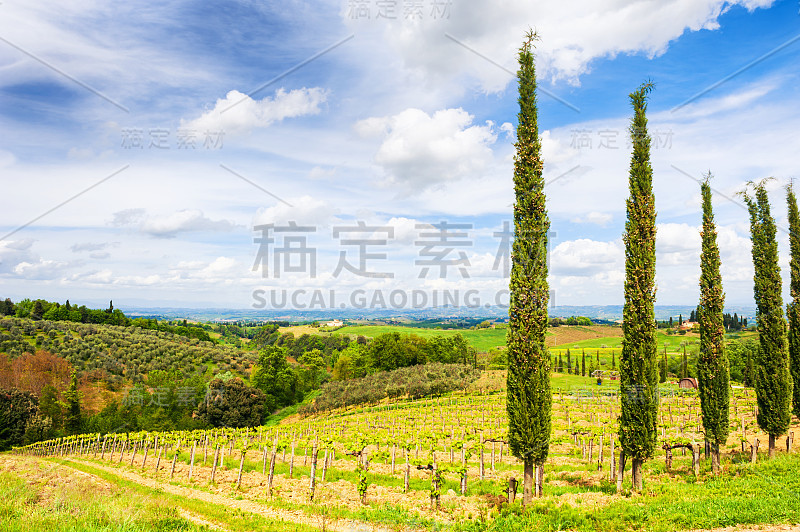 托斯卡纳风景，圣吉米尼亚诺，意大利