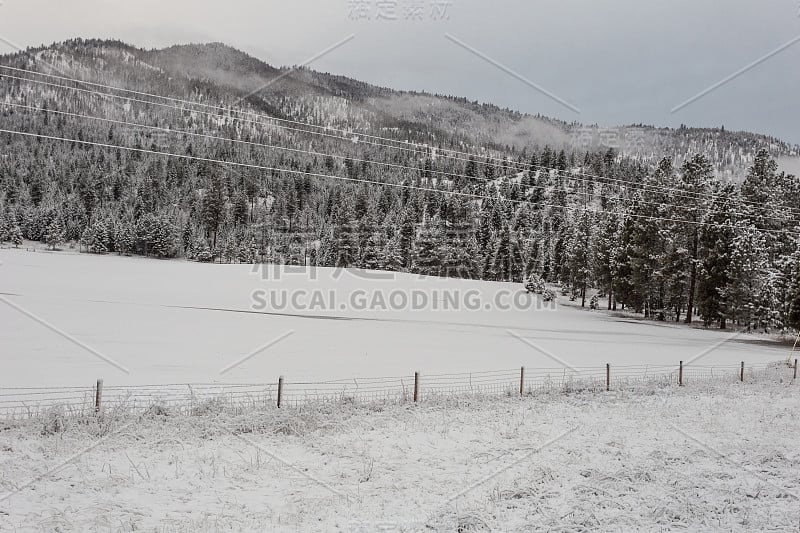 雾笼罩着山，后面是白雪覆盖的树木和有古老篱笆的田野