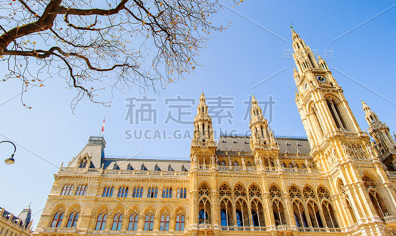 奥地利，维也纳，市政厅，Rathaus