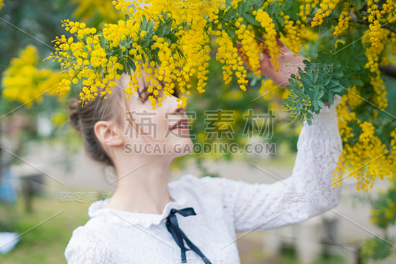 一个看含羞草开花的女人