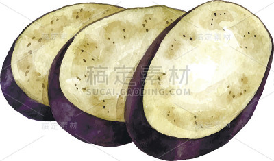 水彩紫色茄子
