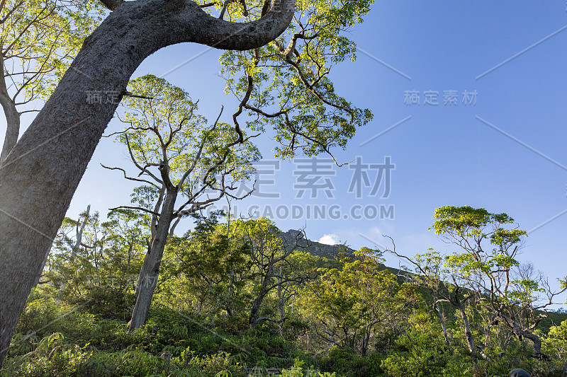 大多山徒步旅行