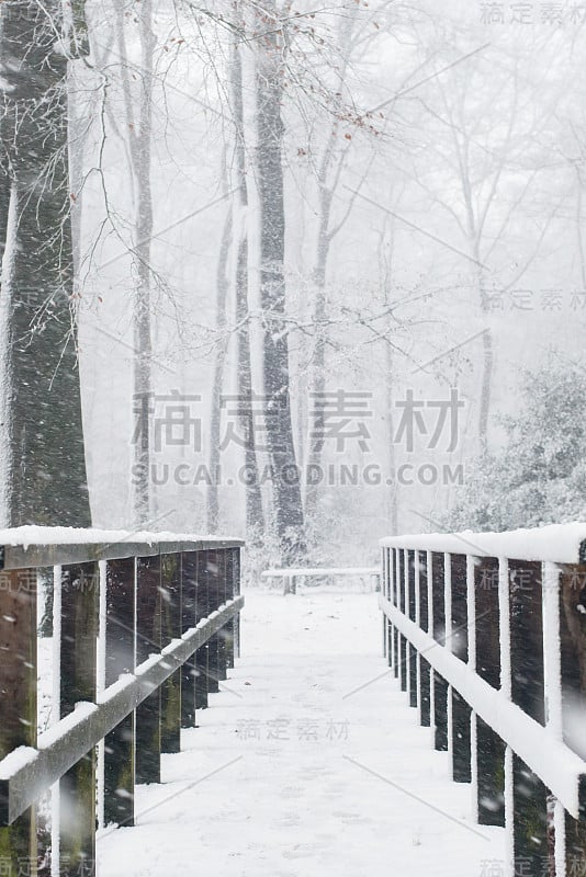 在下雪的森林里的木桥。