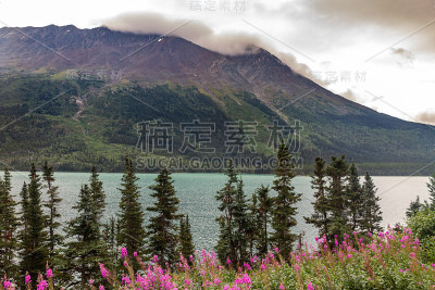 加拿大阿拉斯加和育空之间的不列颠哥伦比亚省弗雷泽附近的图奇湖