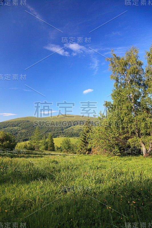 大自然。夏季山林景观