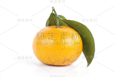 橙色水果