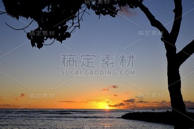 金色的威基基日落与豪树框架的照片和帆船在地平线上。