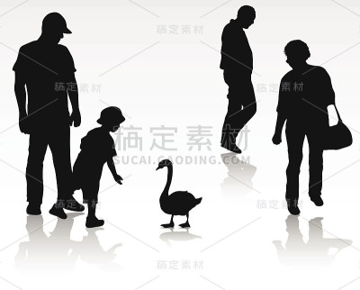 喂一只天鹅