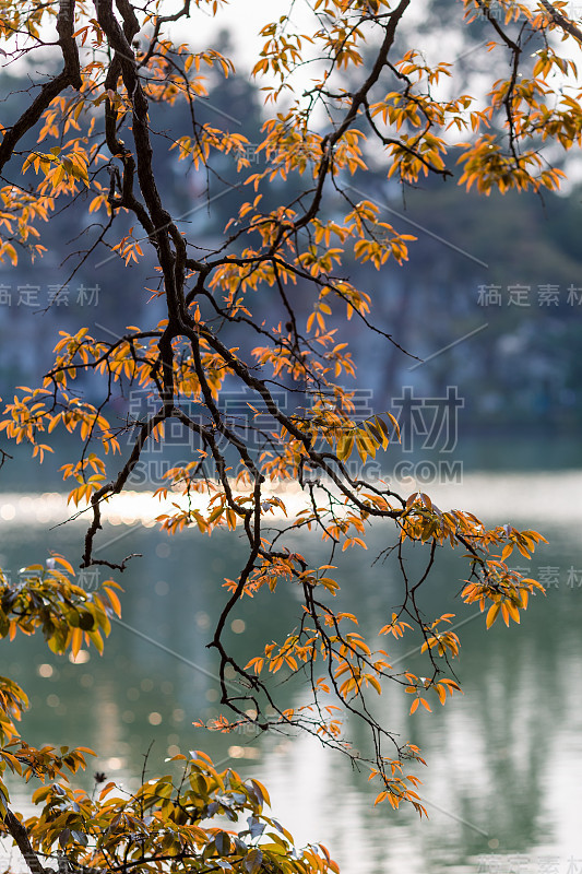 还剑湖的秋天。河内