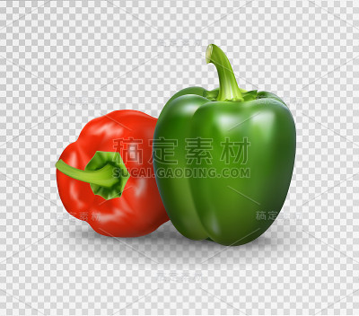 矢量现实插图的甜椒。3d蔬菜红色和绿色的透明背景