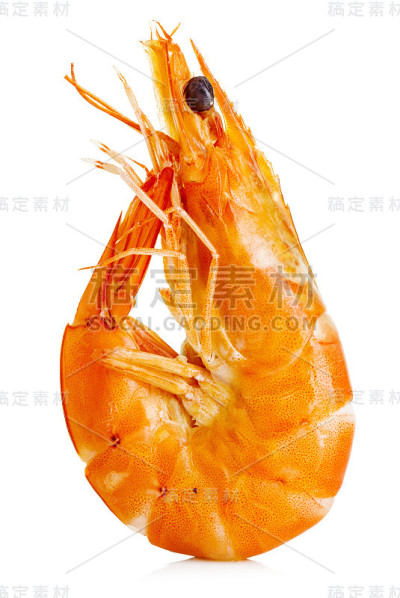 虎虾。在白色背景上孤立的对虾。海鲜