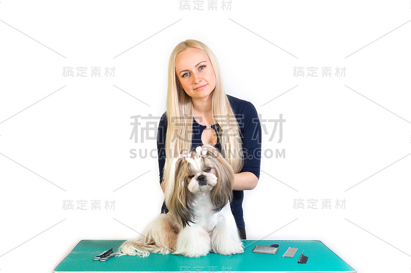 女美容师和可爱的西施犬一起工作