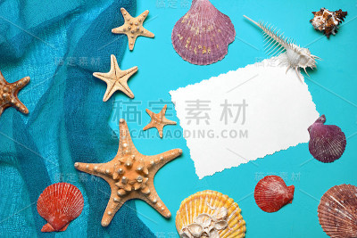 海洋蓝色背景与贝壳和海星在渔网与地方为您的文本
