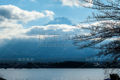 日本——从被树枝干扰的川口湖眺望富士山的田园诗般的景色