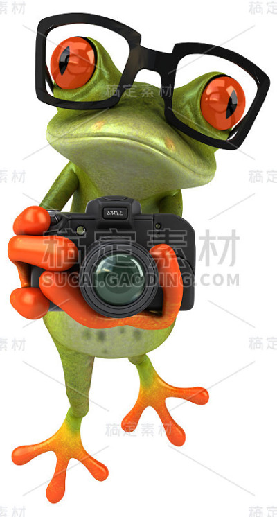 青蛙
