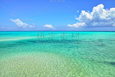 翠绿的海洋