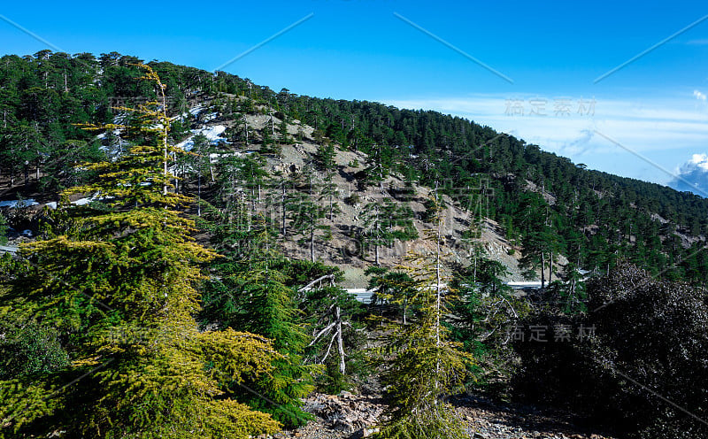 塞浦路斯山区风光