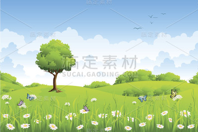 夏天的风景是鲜花和蝴蝶