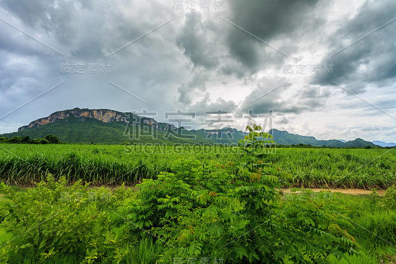 在雨季高山和天空