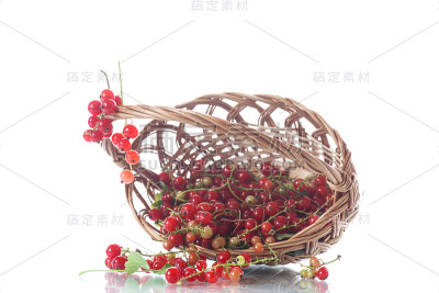 熟的红醋栗放在篮子里