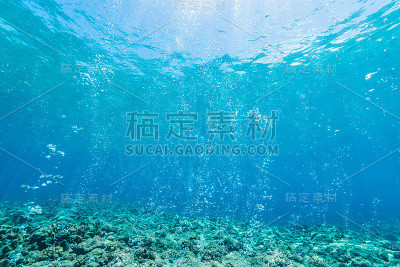 Diver’s泡沫
