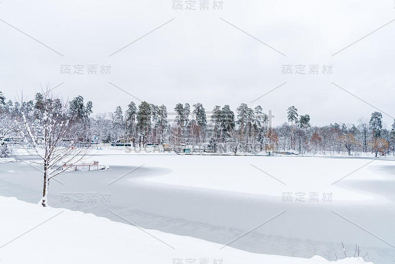 美丽的冰雪覆盖的树木和冰冻的湖在冬季公园