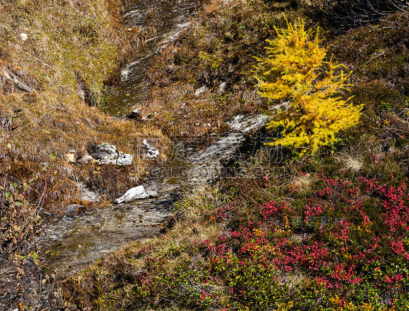 宁静的秋天阿尔卑斯山山阳光从多尔夫加斯泰因徒步旅行到帕尔辛湖，奥地利萨尔茨堡土地。